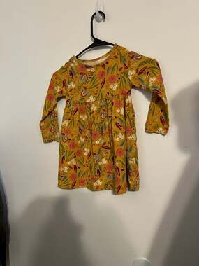 Wonder Nation Toddler Girls Gold Yellow Floral Rainbow Print Long Sleeve Knit Dr